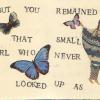 Abecedarian