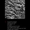 Metal Lungs